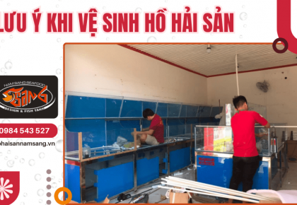 Những lưu ý khi vệ sinh hồ hải sản đúng cách